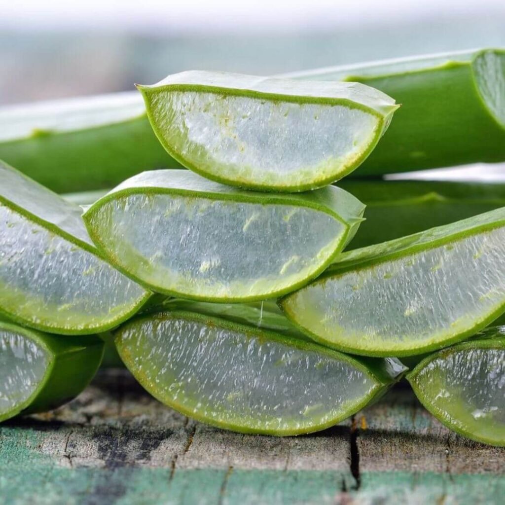 Aloe Vera Extract Ingredient 1080x1080 1